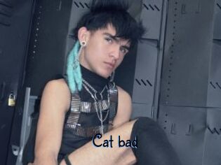 Cat_bad