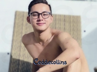 Ceddiecollins