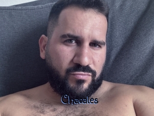 Chacales