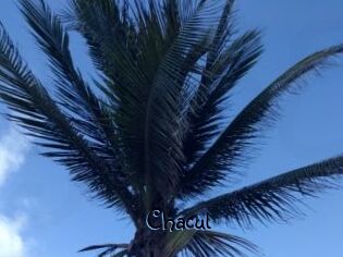 Chacul