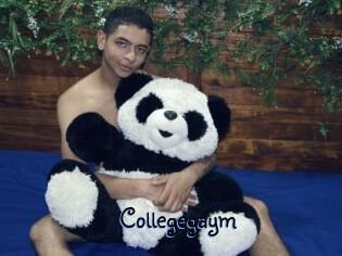 Collegegaym
