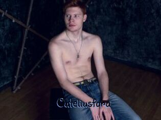 Cuteliusforu