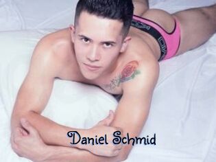 Daniel_Schmid
