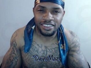 David_Maze