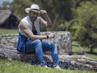DomiinicSantos