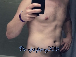 Dongkeykong0018