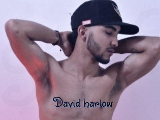 David_harlow
