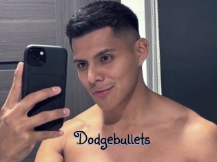 Dodgebullets