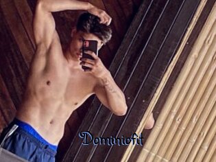 Dominiofit
