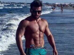 Domluc