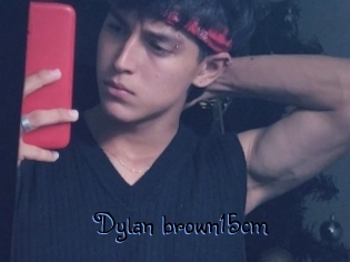 Dylan_brown15cm