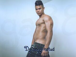 Dylangymstud