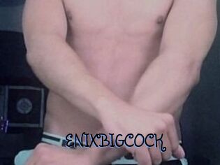 ENIXBIGCOCK