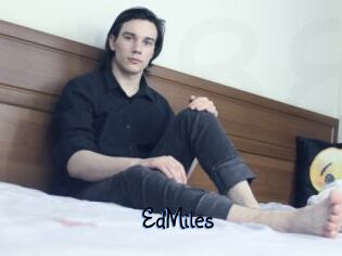 EdMiles