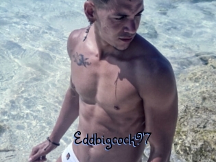 Eddbigcock97