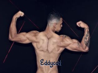Eddycolt