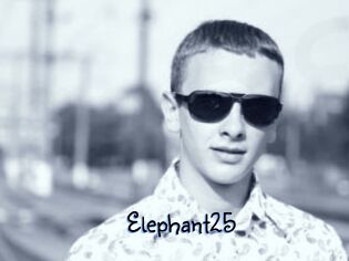 Elephant25