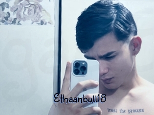 Ethaanbull18