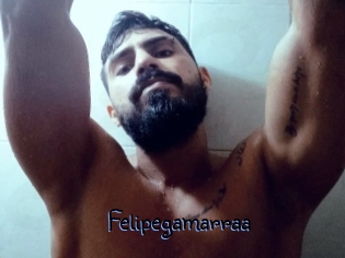 Felipegamarraa