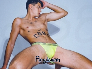 Floydswan