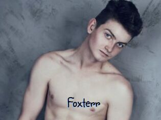 Foxterr
