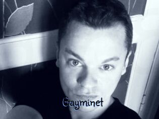 Gayminet