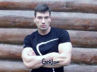 Gektor