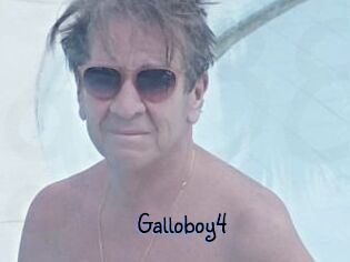 Galloboy4