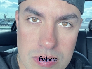 Gatoccc