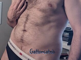 Gattorcatnb