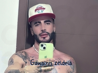 Gawainn_zeldris