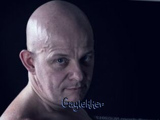 Gaylekker