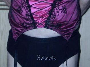 Geilowix
