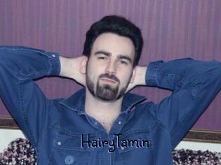 HairyTamin