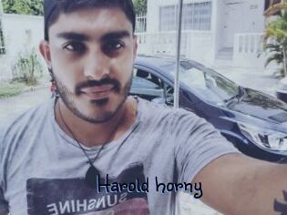 Harold_horny