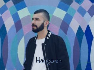 Hairyaron