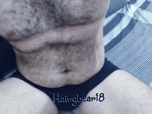 Hairybear18