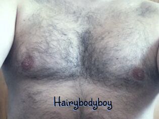 Hairybodyboy