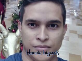 Harold_bigcock