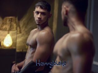 Harryblake