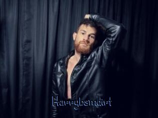 Harrybsmdirt