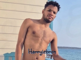 Harrylebron