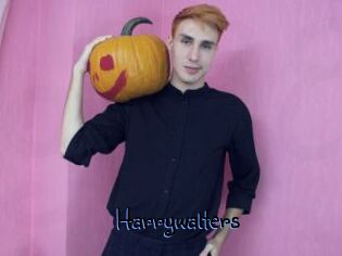 Harrywalters