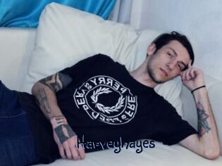 Harveyhayes