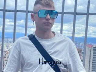Harvyzu