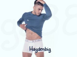Haydenbig