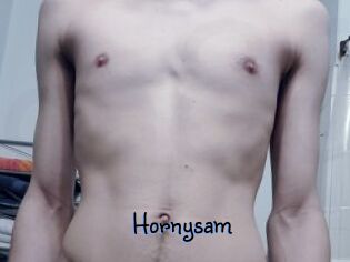 Hornysam