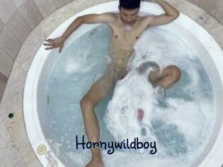 Hornywildboy