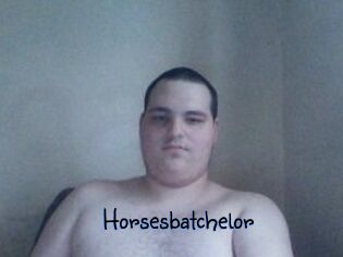 Horsesbatchelor