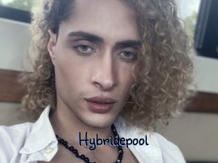 Hybridepool